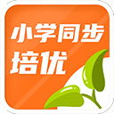 詭異！廣廈隊為何兵敗如倒？王博居然這樣說，球迷：留力戰廣東？
