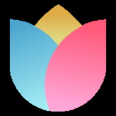 隨著廣東4連勝，北京87
